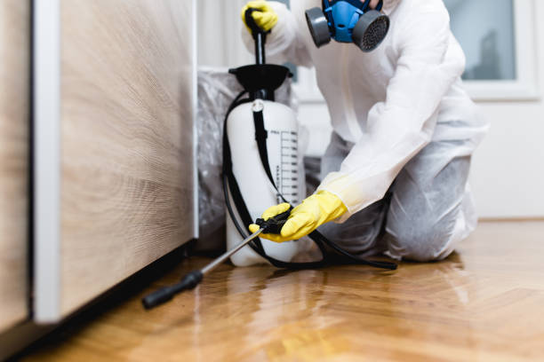 Best Ant Control Services  in Middlebranch, OH