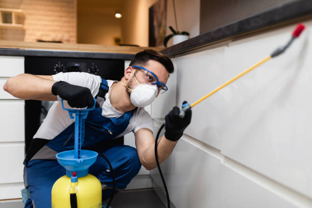 Best Rat Extermination Near Me  in Middlebranch, OH