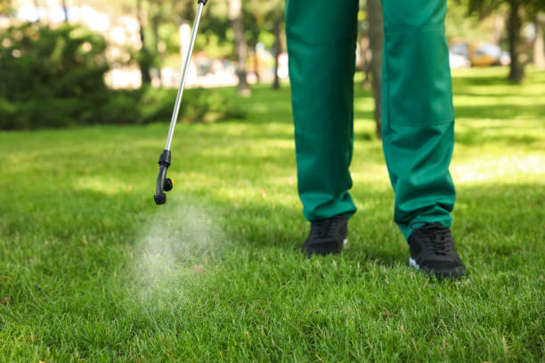 Best Cockroach Control Services  in Middlebranch, OH