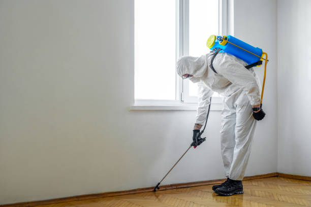 Best Termite Control Services  in Middlebranch, OH
