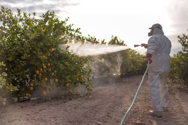 Best Pest Prevention Services  in Middlebranch, OH