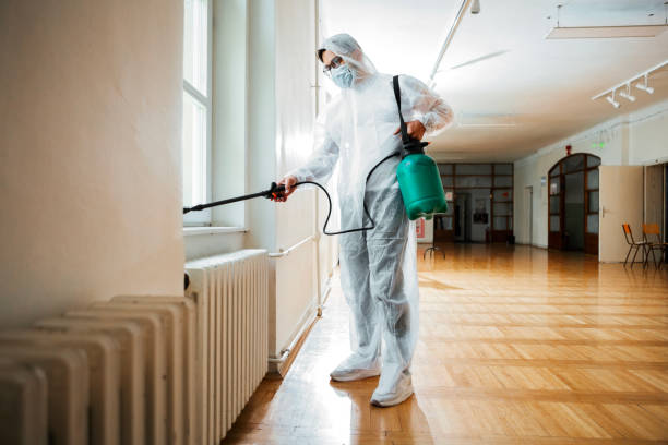 Best Wasp Removal Services  in Middlebranch, OH