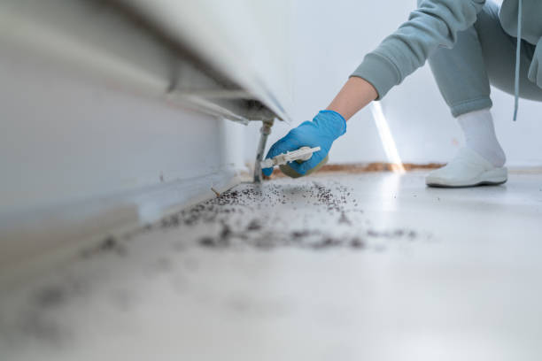 Best Cockroach Control Services  in Middlebranch, OH