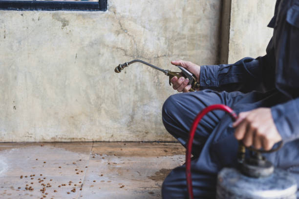 Best Affordable Pest Control Services  in Middlebranch, OH