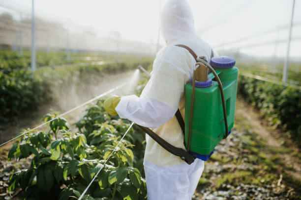 Best Wildlife Control Services  in Middlebranch, OH